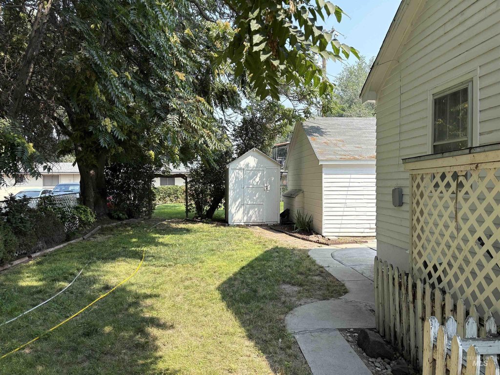 Picture 11