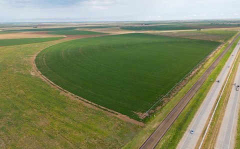 10-Acre Tract Near Hale Center