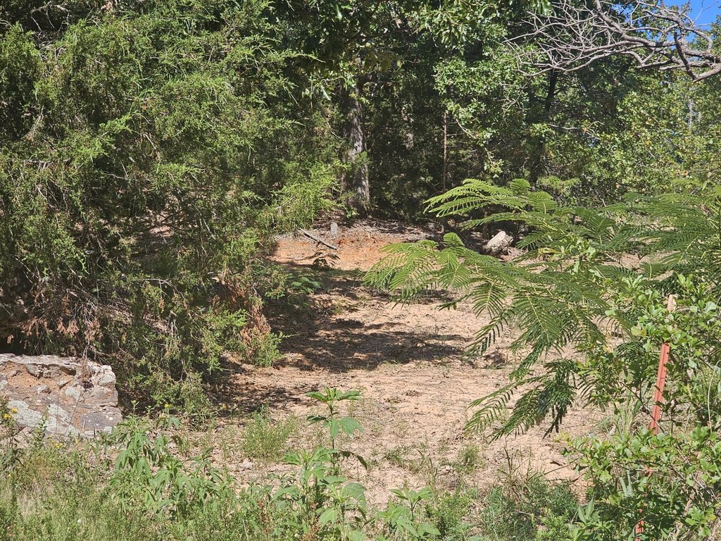 Picture 5