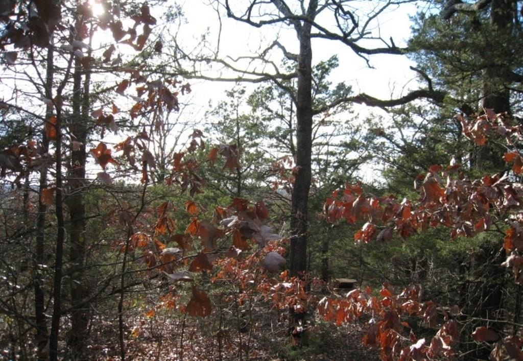 Picture 7