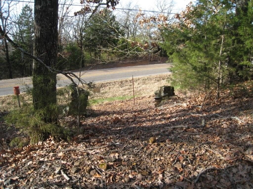 Picture 6