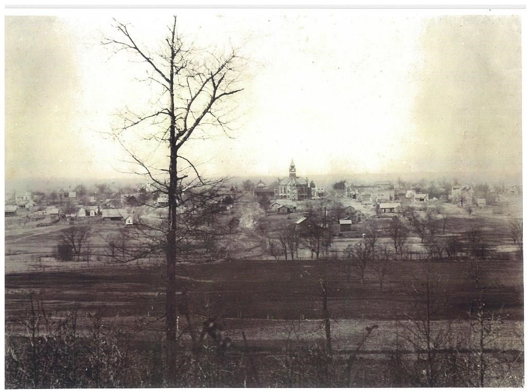Picture 8