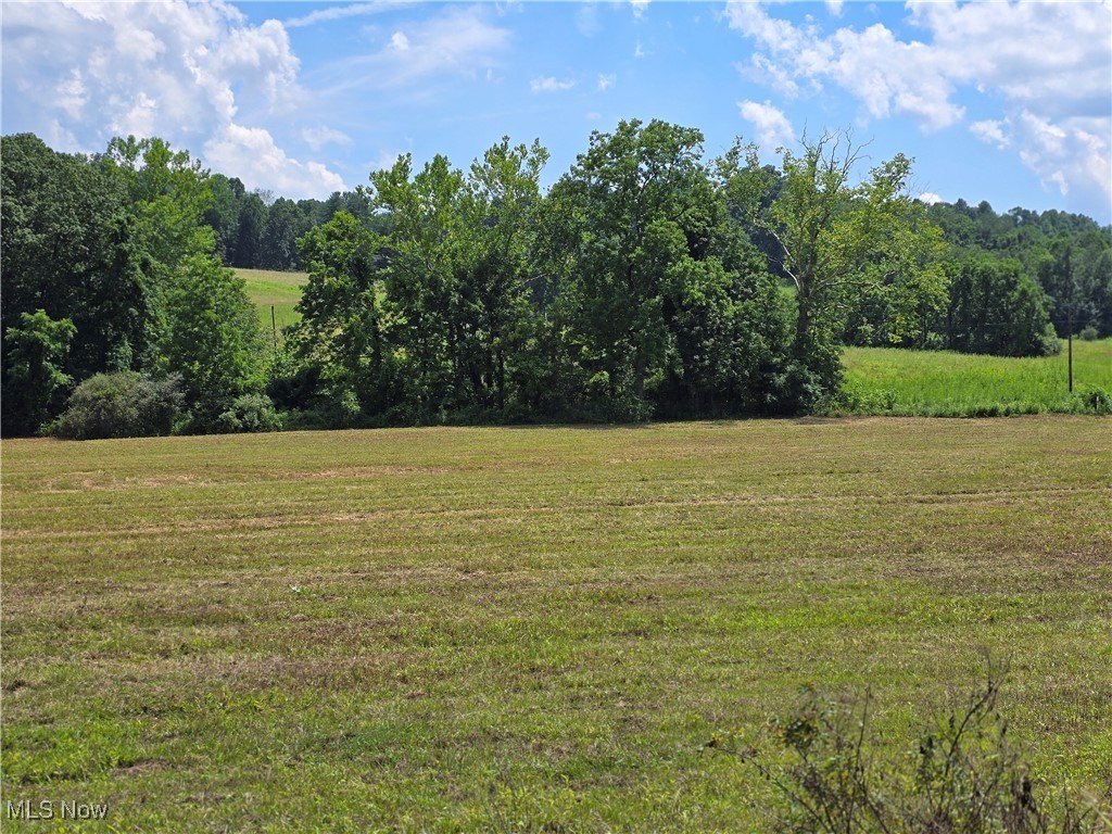 Land Adjoining Wolfe Creek Preserve