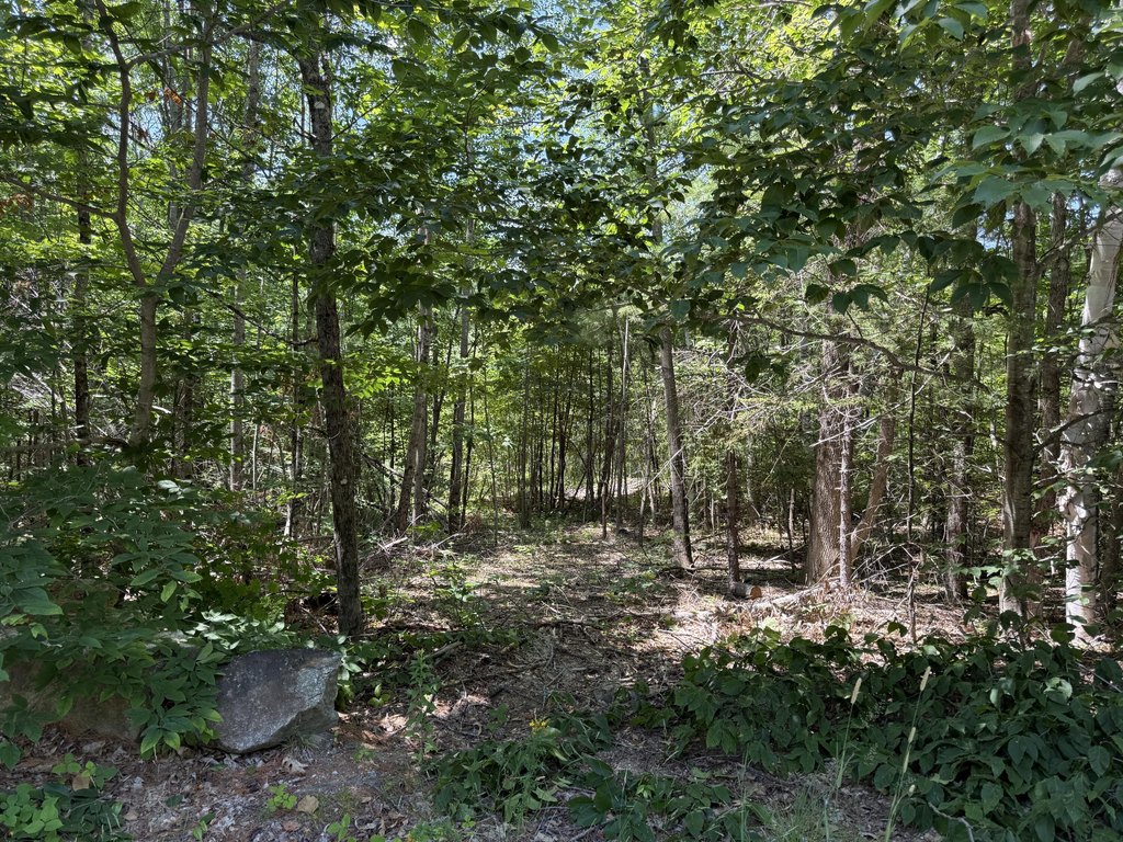 Picture 4