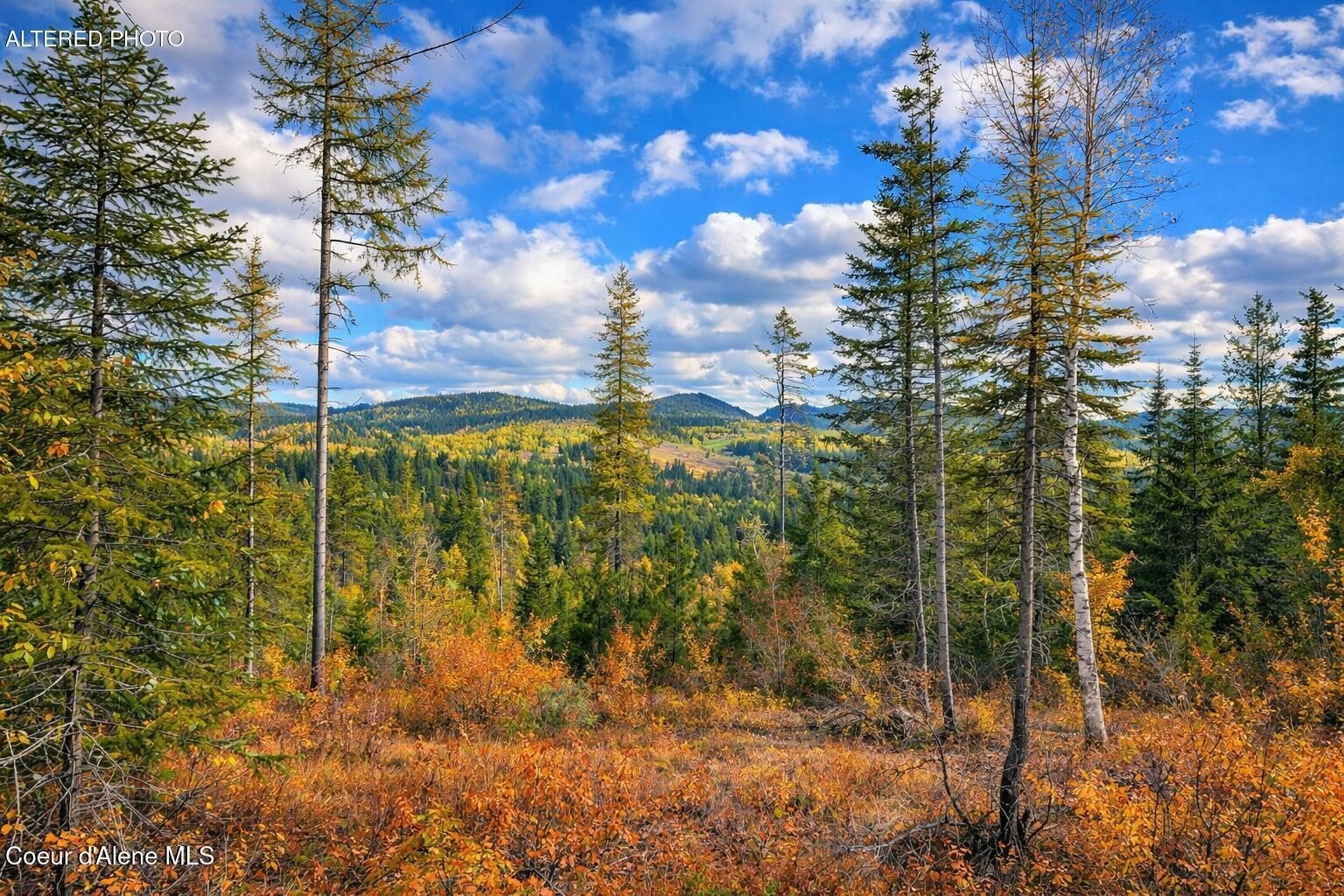 40 Acres in Careywood, ID