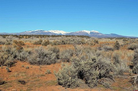 Land For Sale Hesperus, CO