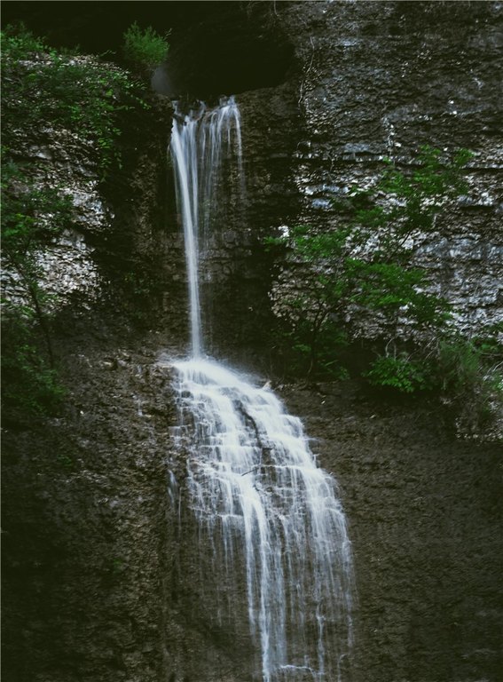 Picture 7