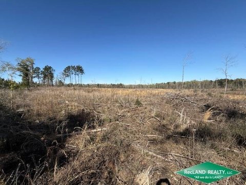 Timberland and Hunting Tract