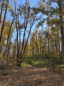 Land, Vanderbilt, MI