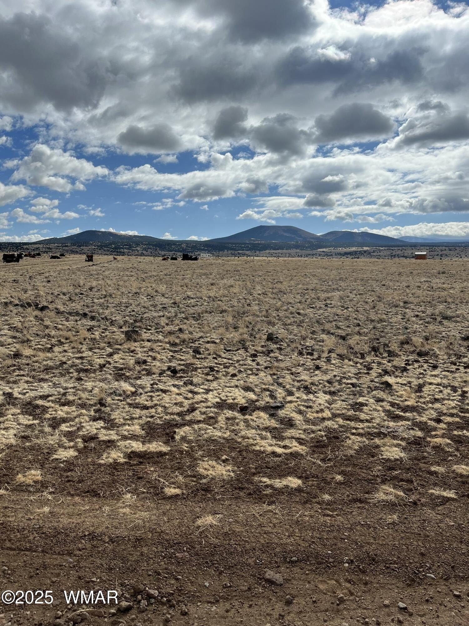 Land with Mountain Views