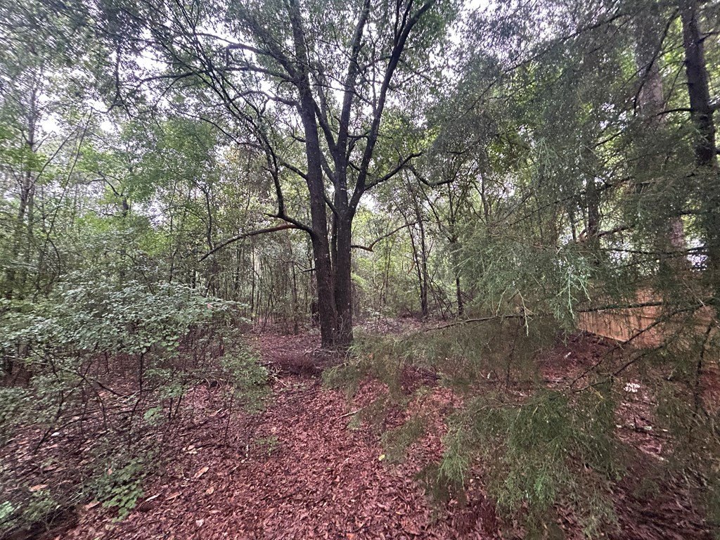 Picture 4