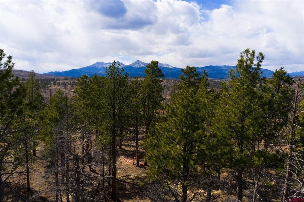 Land in Fort Garland, CO