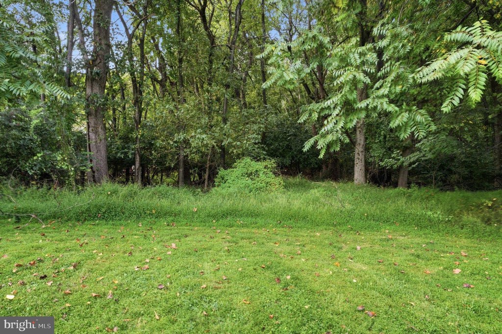 Picture 29