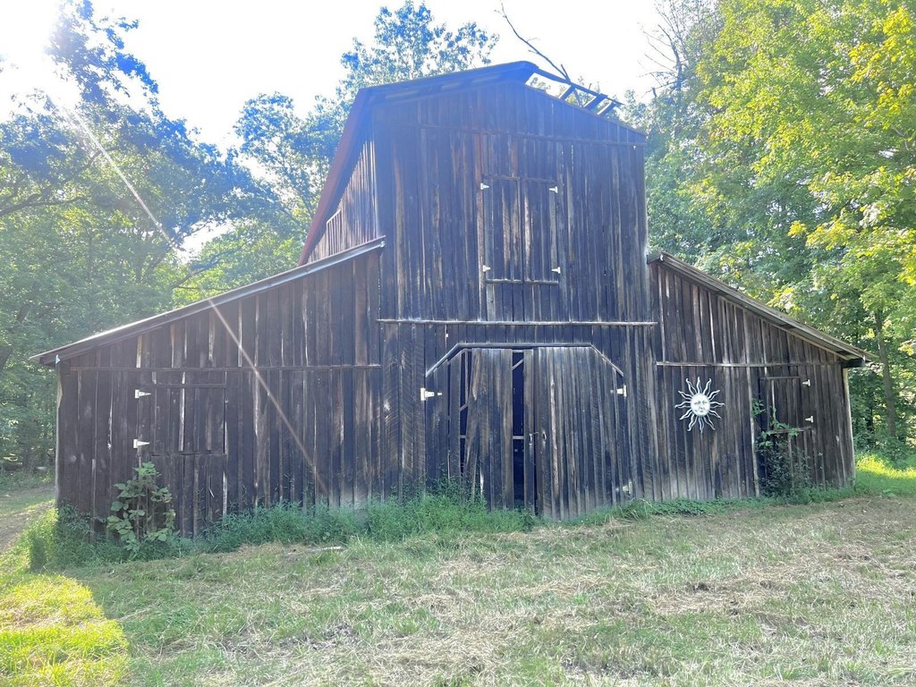 Picture 6