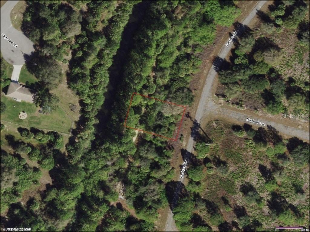 Buildable Lot in North Port