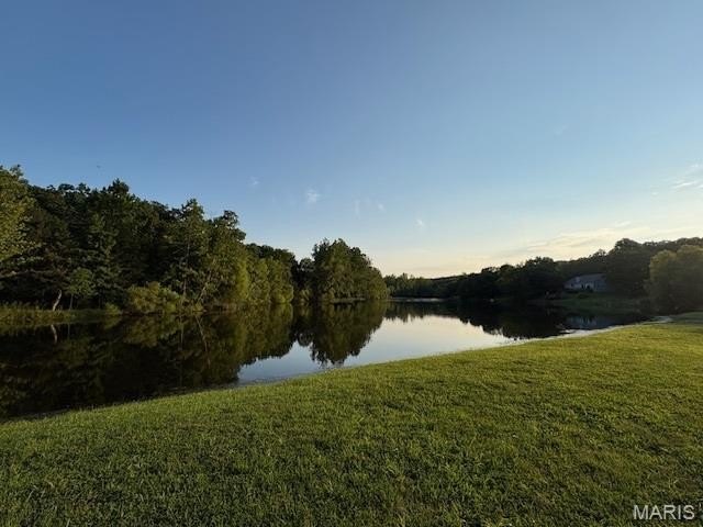 Picture 5