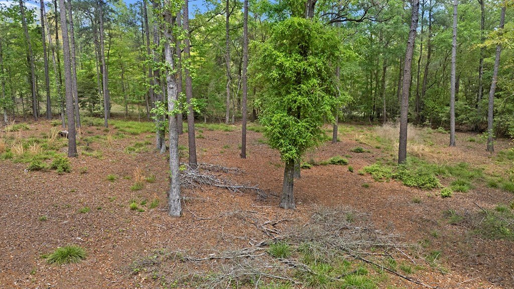Picture 13