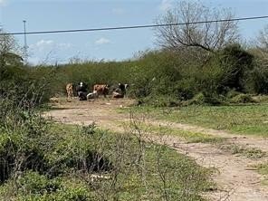 Mission, TX 17-Acre Parcel