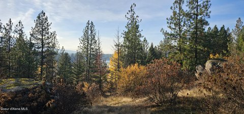 LAND - Priest River, ID