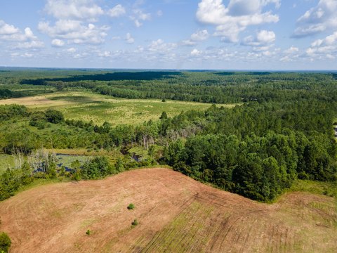LAND - DeFuniak Springs, FL