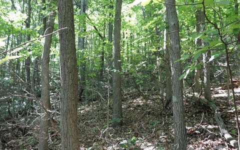 Residential Land in Claysburg, PA