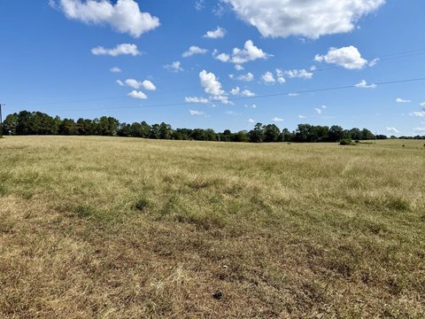 Land, Samson, AL