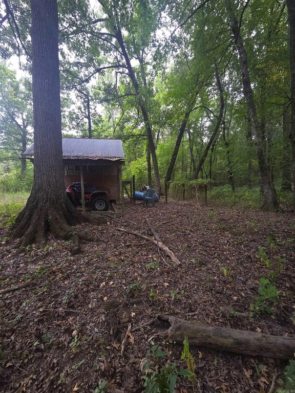 Picture 15