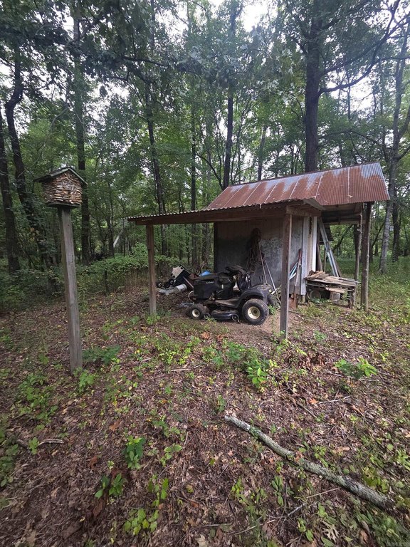 Picture 12