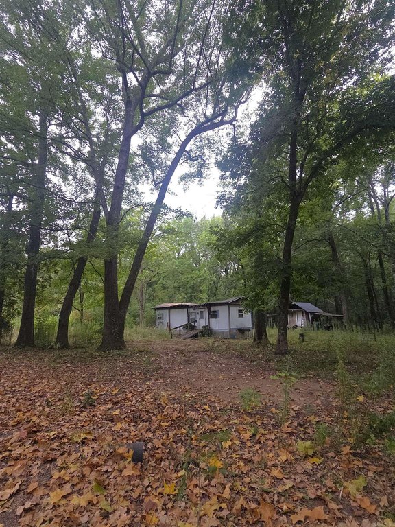 Picture 21