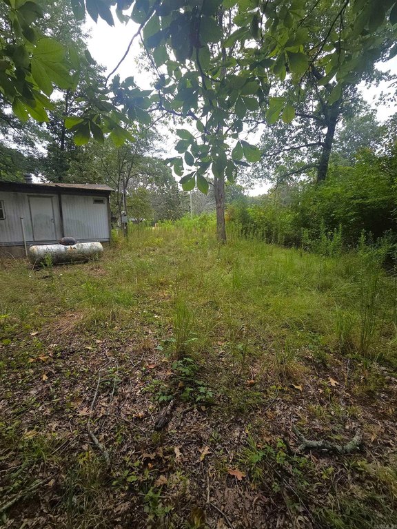 Picture 14