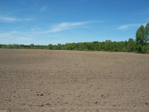 Commercial Land Parcel
