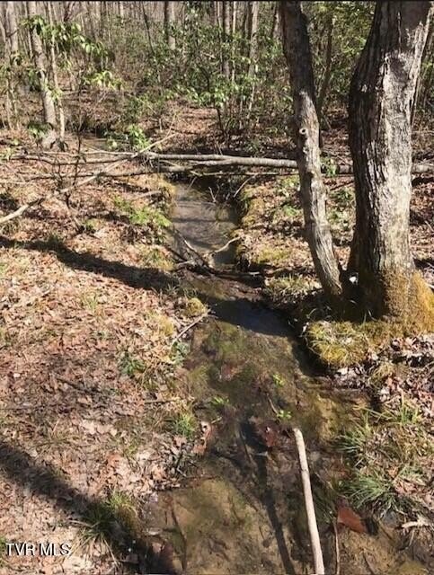 Wilder, TN Wooded Land Parcel