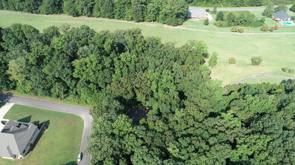 Residential Land in Chatsworth, GA
