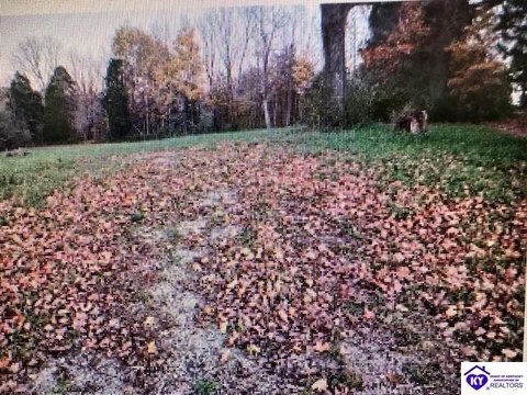 Wooded Building Lot Near Town