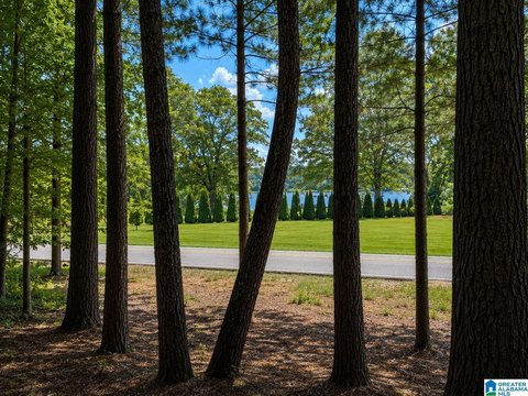 LAND - TALLADEGA, AL