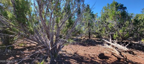 Land, Williams, AZ