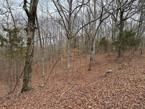 4.1 Acres in Camden, TN