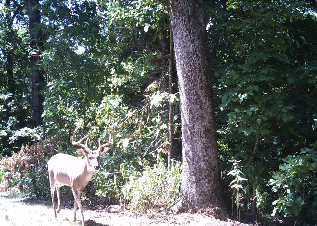 56.83 Acres in Gravette, AR