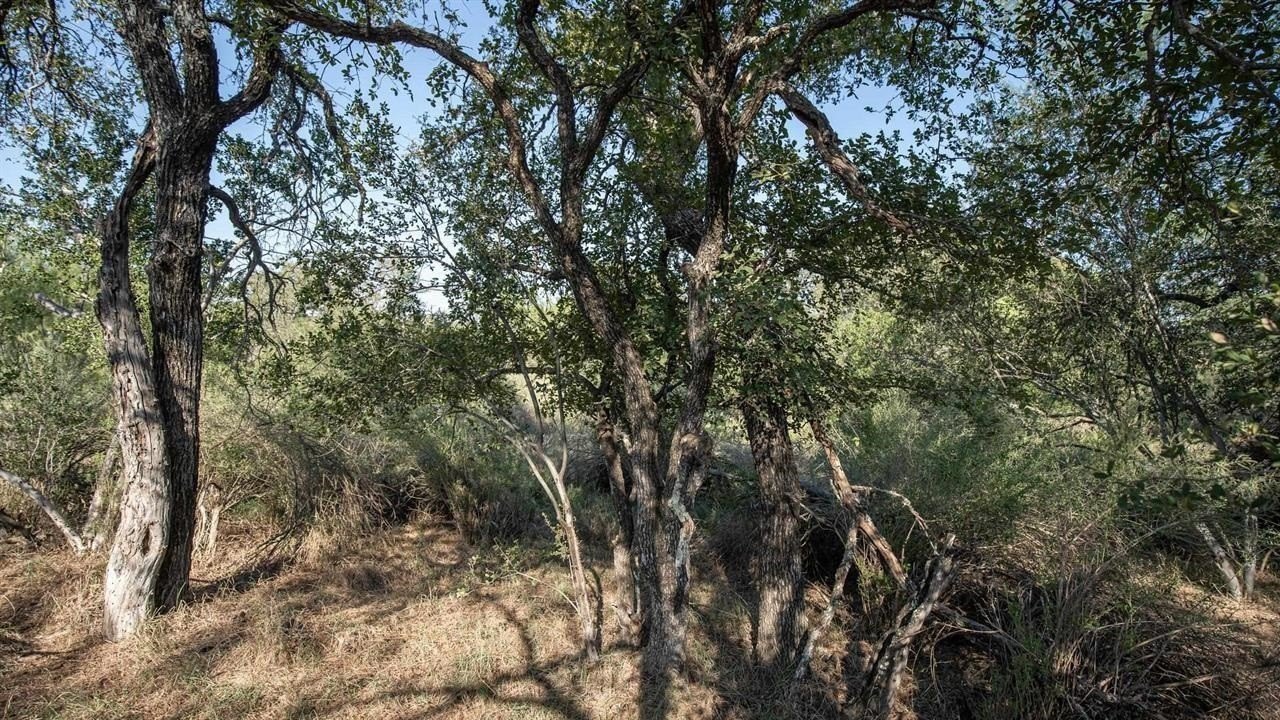 Residential Lots in Granite Shoals