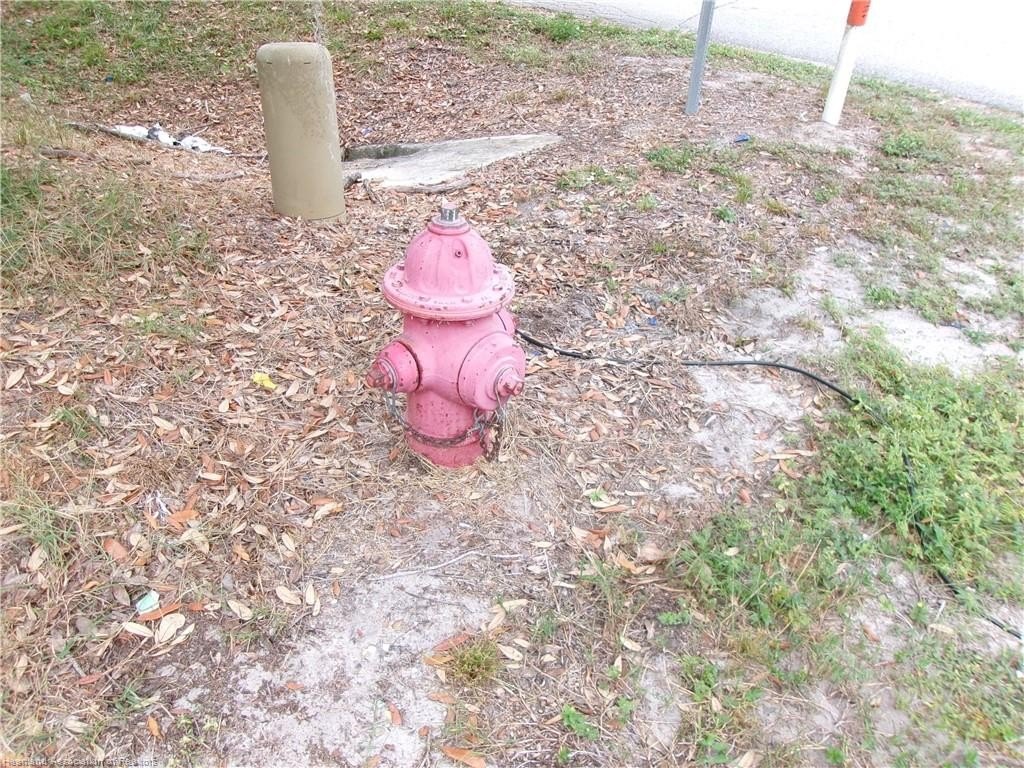 Picture 9