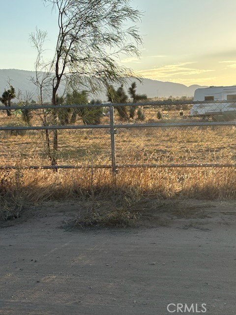 Picture 25
