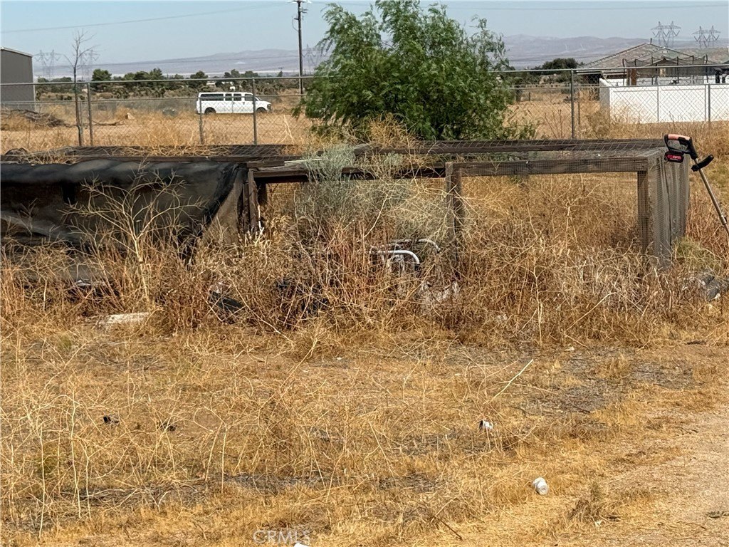 Picture 16