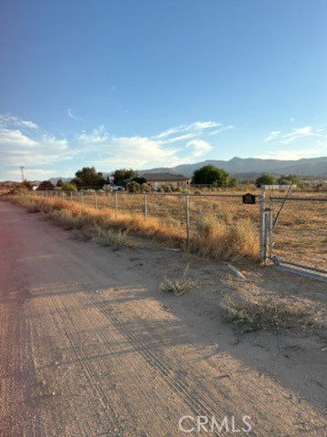 Picture 24