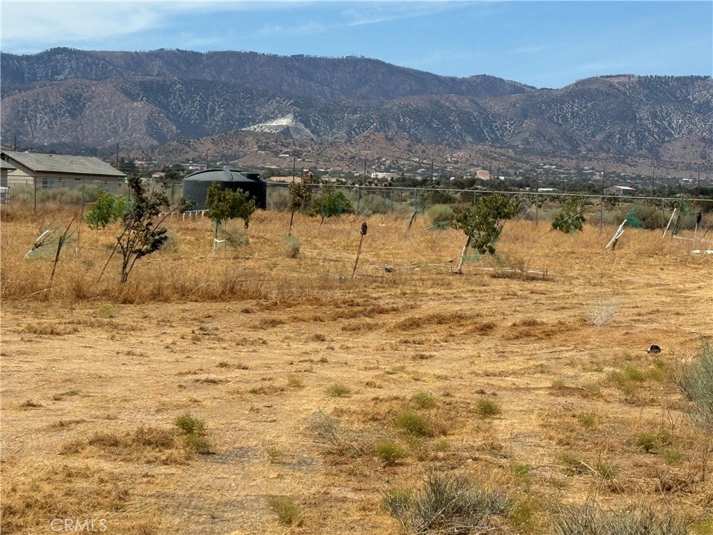 Picture 21