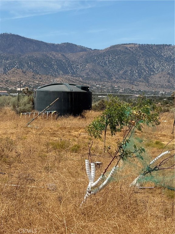 Picture 19