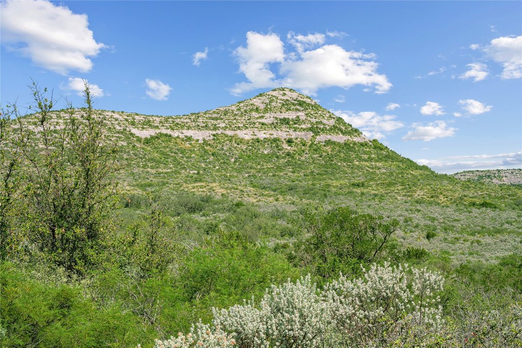 Picture 38