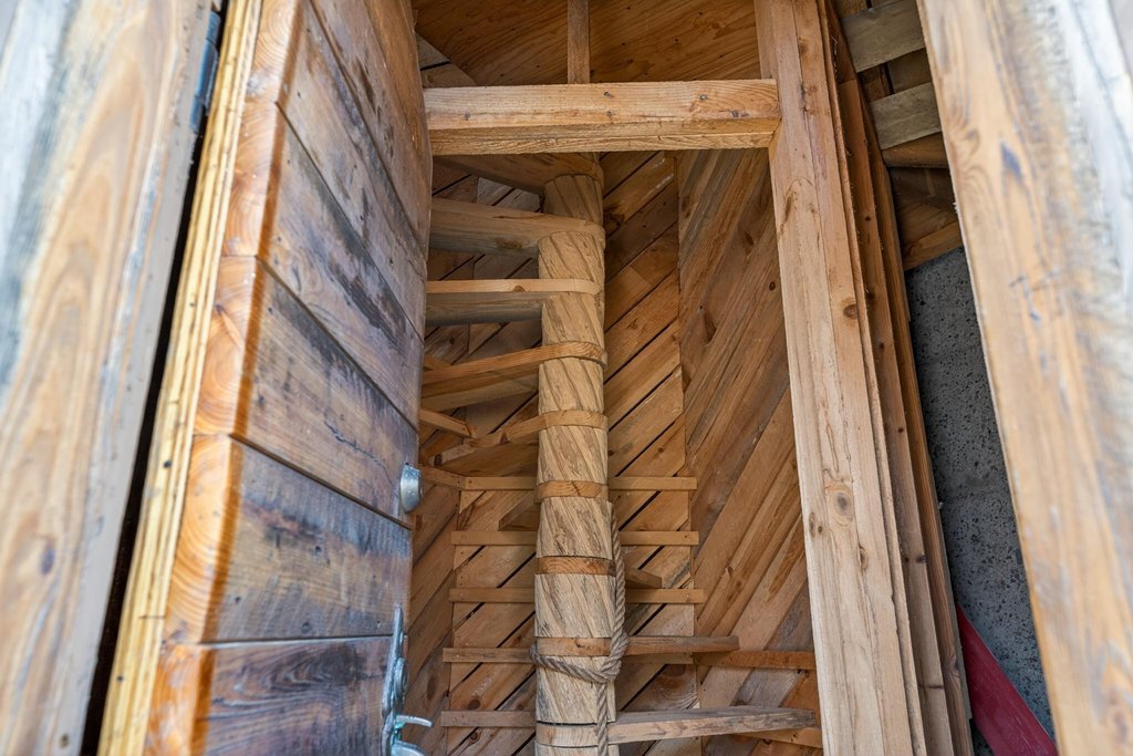 Picture 16