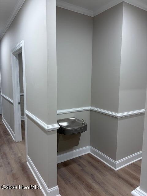 Picture 13
