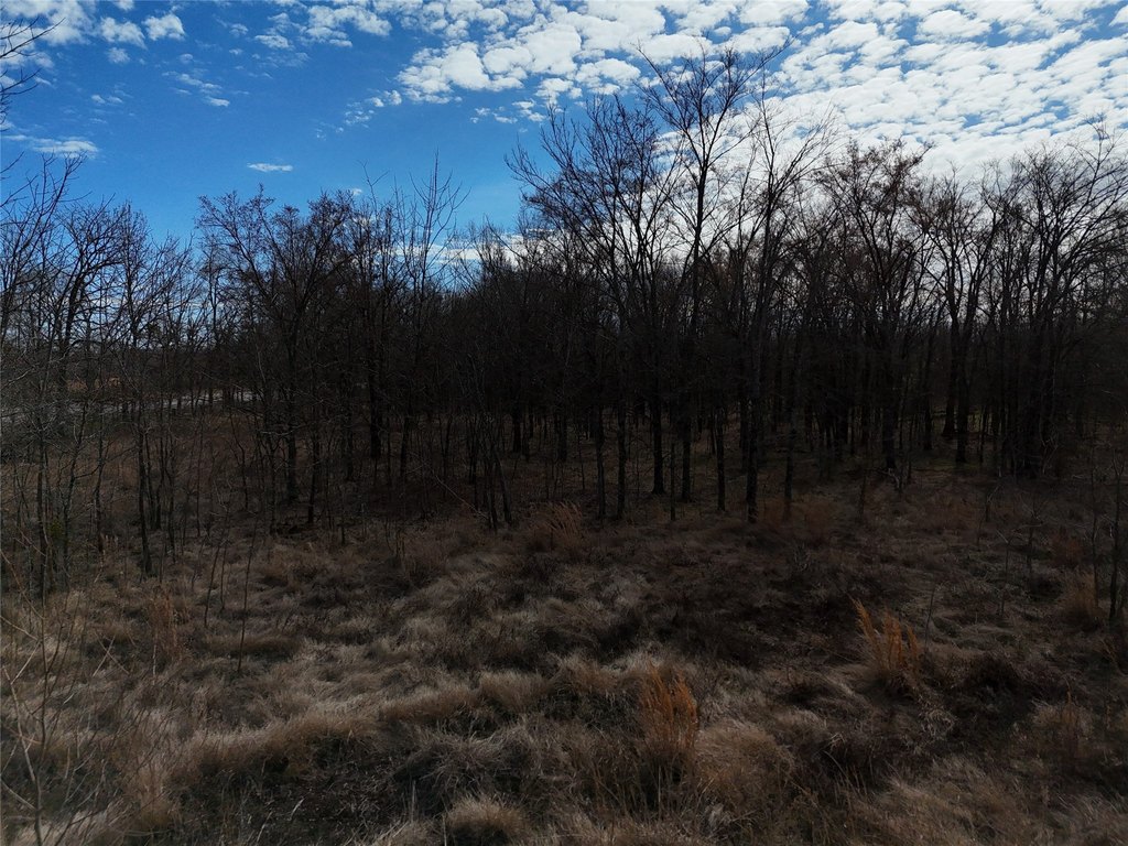 Picture 11