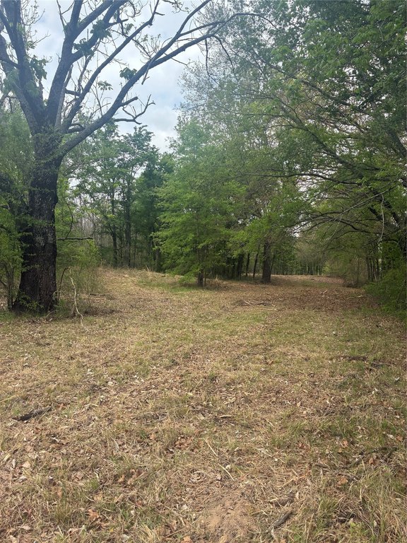 Picture 8